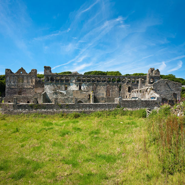 St Davids Bishop's Palace Pamphlet Guide (Welsh)